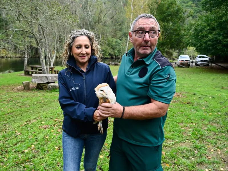 Liberan en las Fragas do Eume un ratonero y una lechuza recuperados en Oleiros