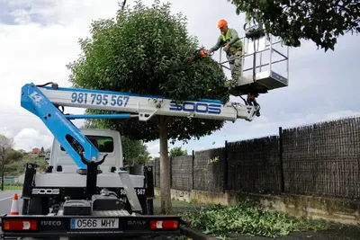 Oleiros reutiliza restos de poda para mejorar sus espacios verdes