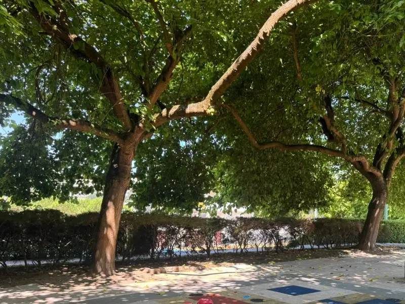 Proponen cubrir un parque infantil en Oleiros para uso durante todo el año